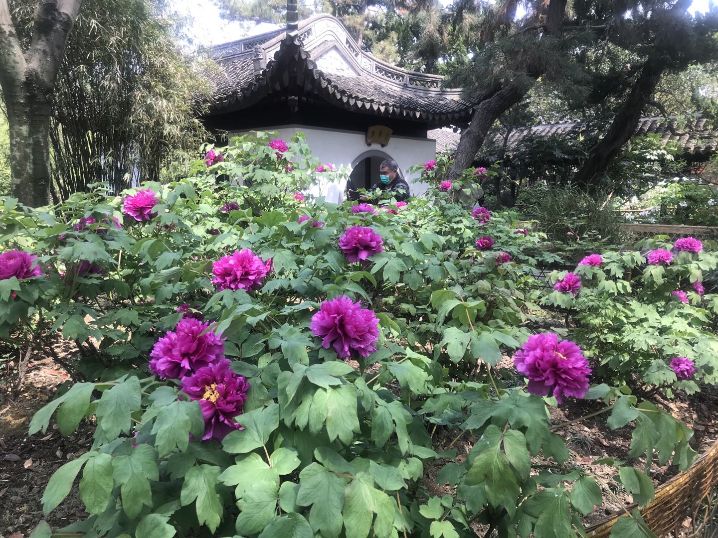 微信图片_20210402154735.jpg
