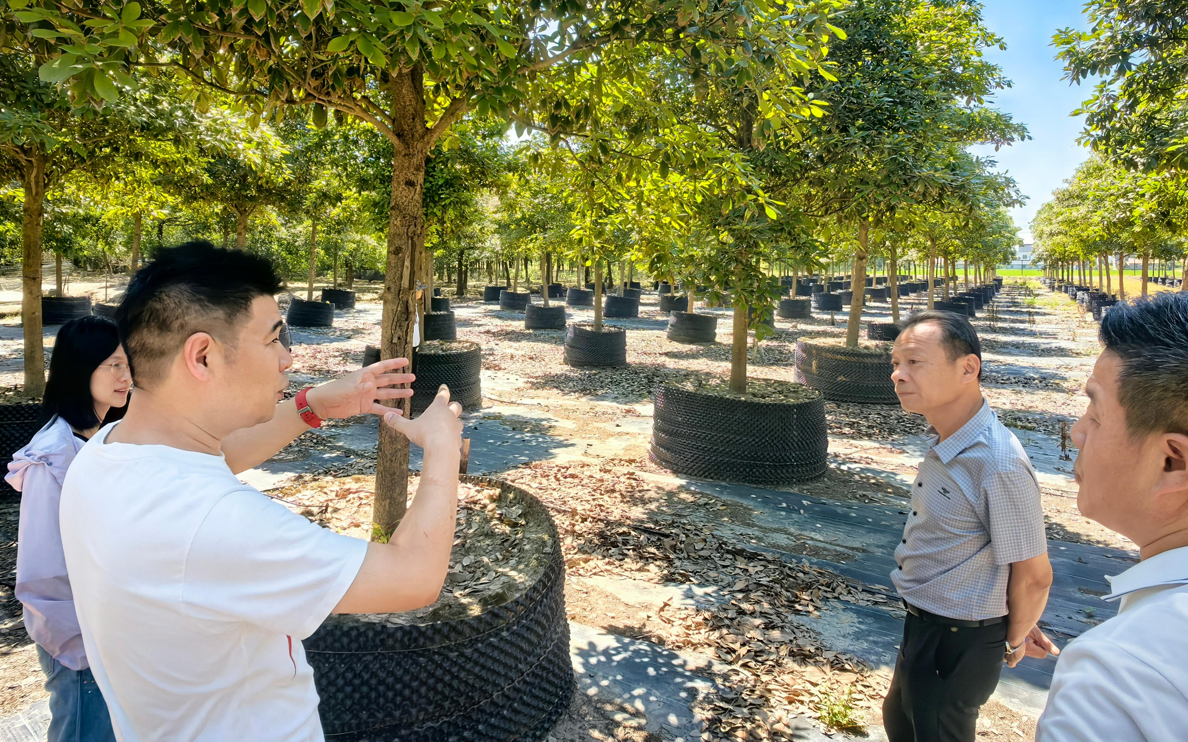 市林业总站赴奉贤区楠木基地调研1.jpg