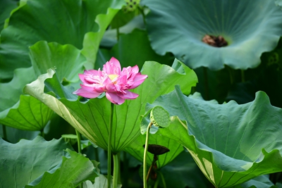 DSC_3770.jpg DSC_3770.jpg