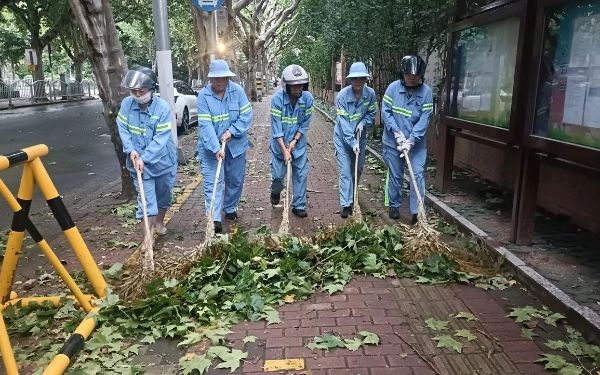 微信图片_2026-07-13_091510_452.jpg