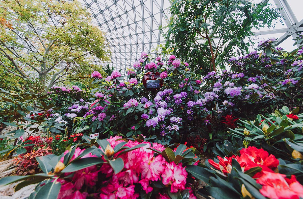 上海——品花韵 (6).jpg