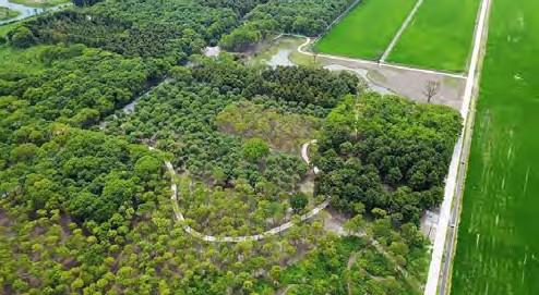 嘉北郊野公园将海绵城市设计与其他服务功能相结合， 用高品质农田林带构造自然蓄水的生态海绵.jpg